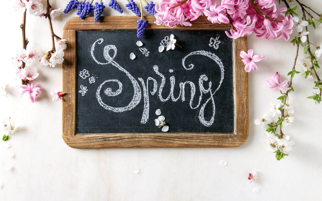 Spring blossom flowers with the word Spring written in chalk on a framed black chalkboard