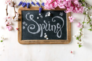 Spring blossom flowers with the word Spring written in chalk on a framed black chalkboard
