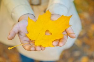 hands holding yellow coloured fall leaf with heart hole in the centre